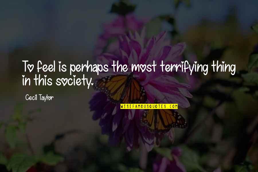 Broken Lonely Heart Quotes By Cecil Taylor: To feel is perhaps the most terrifying thing