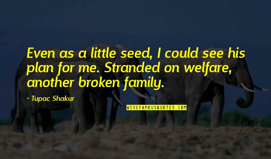 Broken Up Family Quotes By Tupac Shakur: Even as a little seed, I could see