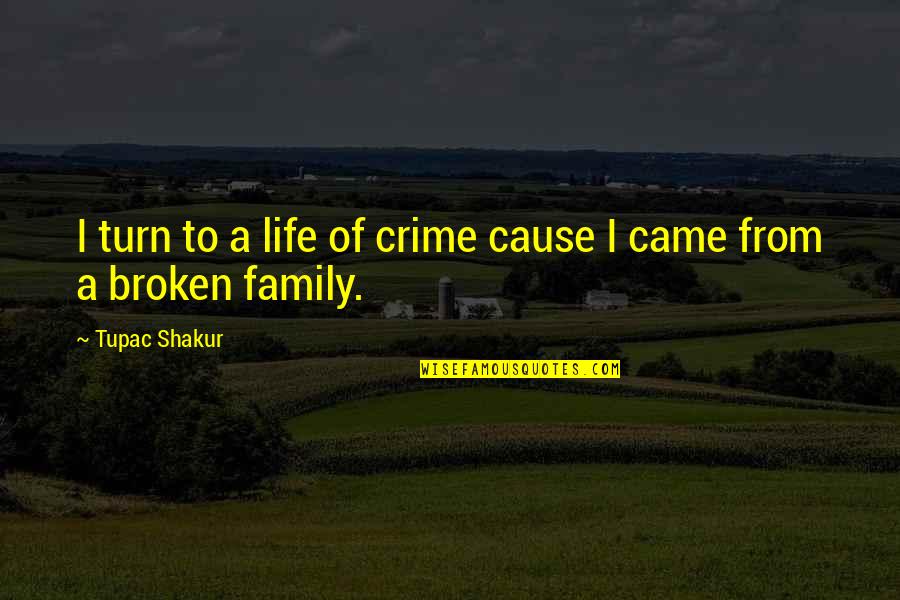Broken Up Family Quotes By Tupac Shakur: I turn to a life of crime cause