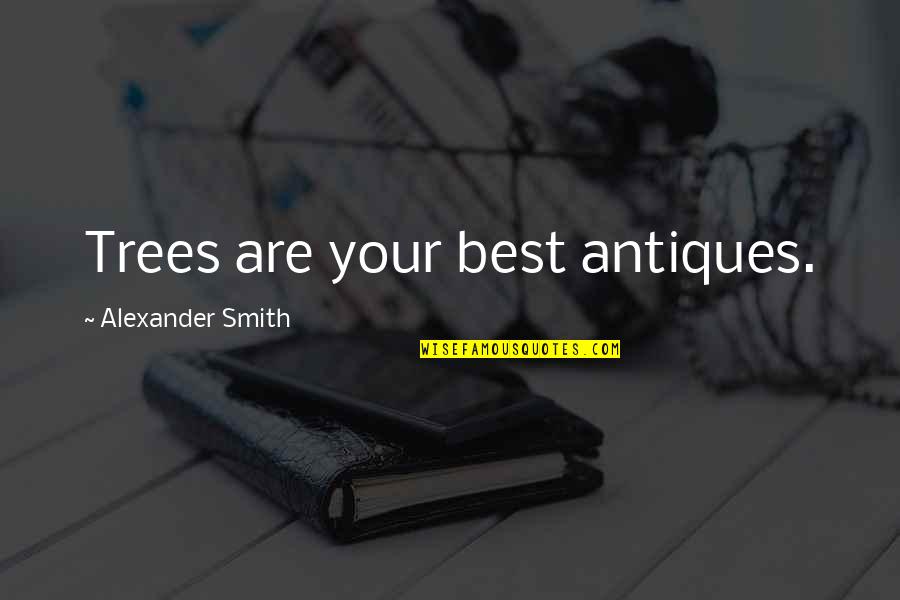 Brolando Quotes By Alexander Smith: Trees are your best antiques.
