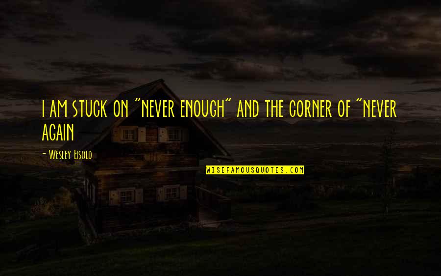 Bromeos Quotes By Wesley Eisold: i am stuck on "never enough" and the Bromeos Quotes By Wesley Eisold: i am stuck on "never enough" and the