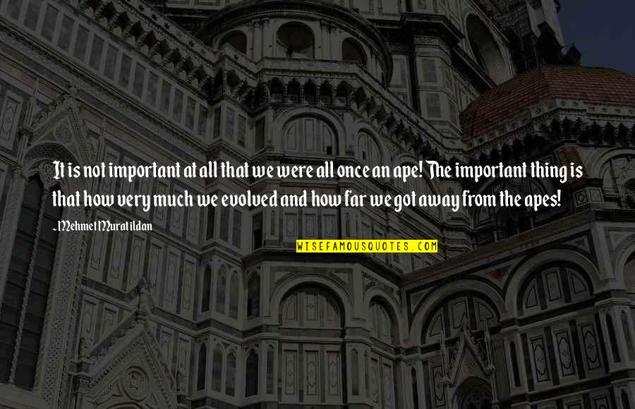 Bromhead Johnson Quotes By Mehmet Murat Ildan: It is not important at all that we Bromhead Johnson Quotes By Mehmet Murat Ildan: It is not important at all that we