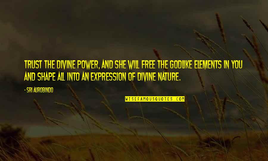 Bronislaw Cieslak Quotes By Sri Aurobindo: Trust the divine power, and she will free