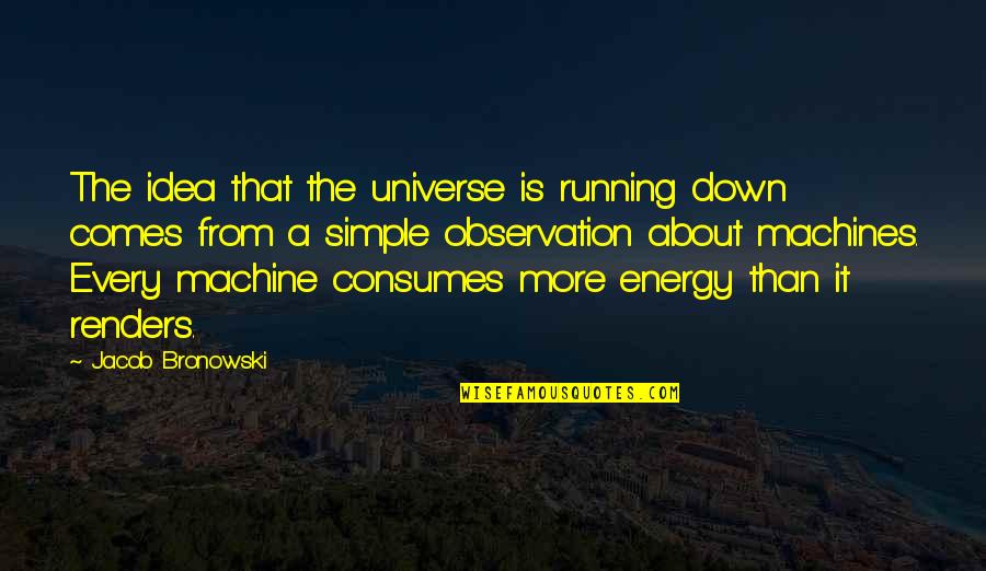 Bronowski Quotes By Jacob Bronowski: The idea that the universe is running down