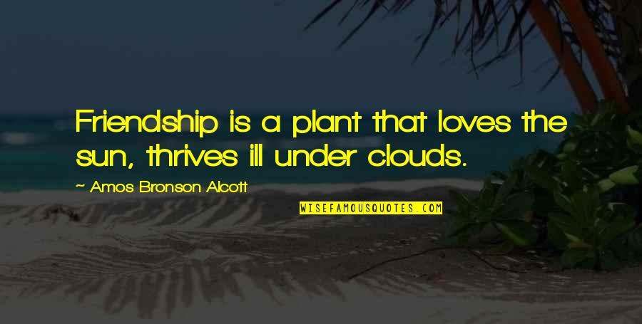 Bronson Quotes By Amos Bronson Alcott: Friendship is a plant that loves the sun,