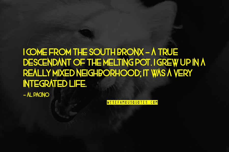 Bronx Quotes By Al Pacino: I come from the South Bronx - a Bronx Quotes By Al Pacino: I come from the South Bronx - a