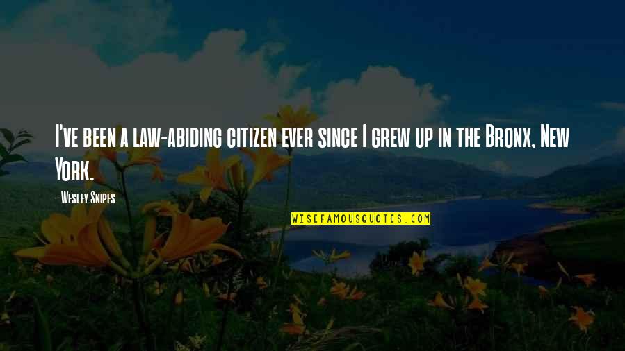 Bronx Quotes By Wesley Snipes: I've been a law-abiding citizen ever since I