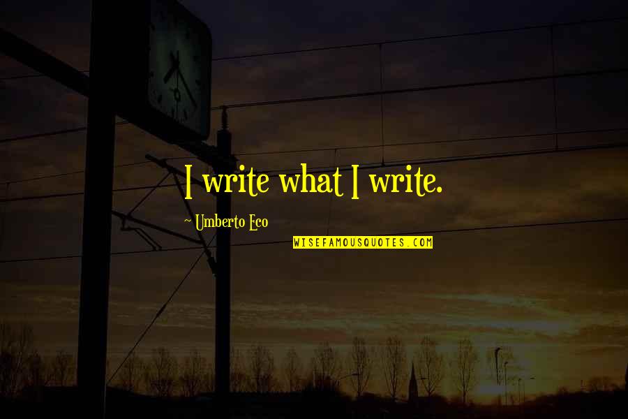 Bronzeish Quotes By Umberto Eco: I write what I write.