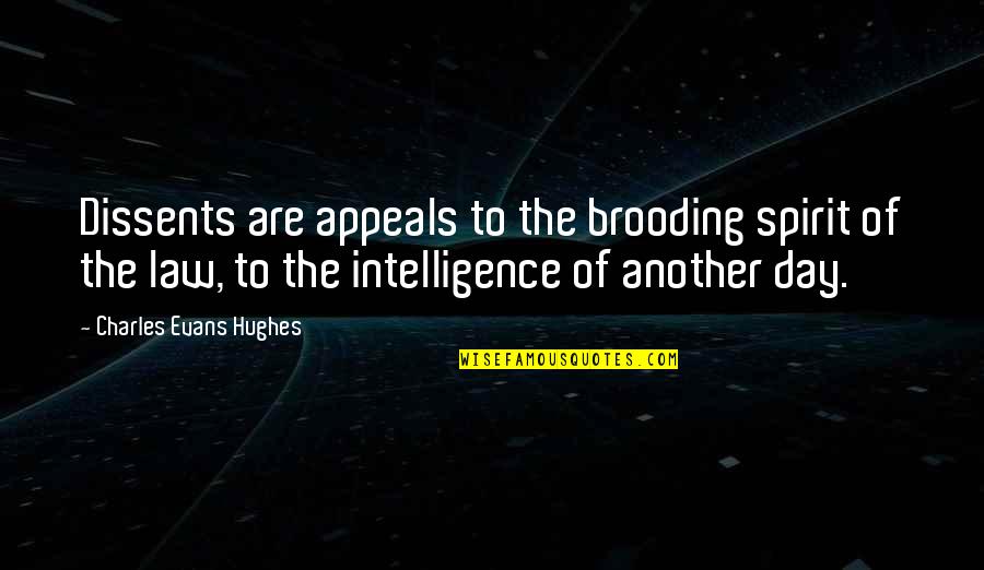 Brooding Quotes By Charles Evans Hughes: Dissents are appeals to the brooding spirit of