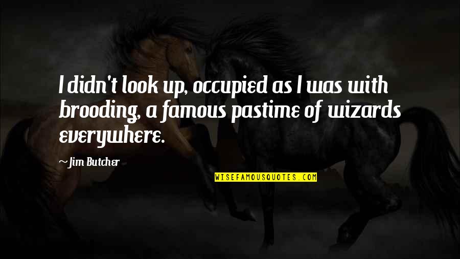 Brooding Quotes By Jim Butcher: I didn't look up, occupied as I was