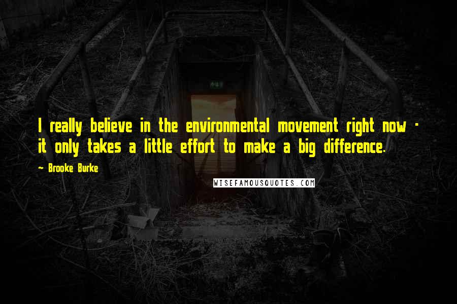 Brooke Burke quotes: I really believe in the environmental movement right now - it only takes a little effort to make a big difference.