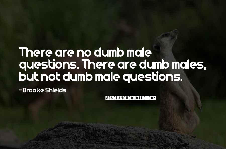 Brooke Shields quotes: There are no dumb male questions. There are dumb males, but not dumb male questions.