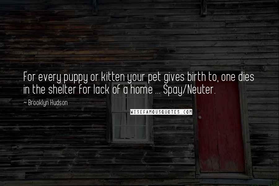 Brooklyn Hudson quotes: For every puppy or kitten your pet gives birth to, one dies in the shelter for lack of a home ... Spay/Neuter.