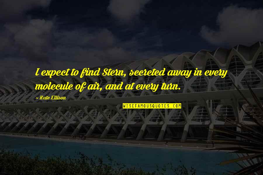 Brooklynne Palmer Quotes By Kate Ellison: I expect to find Stern, secreted away in