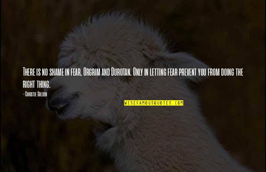 Bros Before Hoes Quotes By Christie Golden: There is no shame in fear, Orgrim and