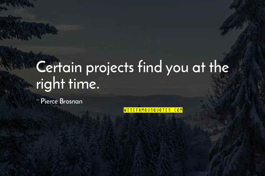Brosnan Pierce Quotes By Pierce Brosnan: Certain projects find you at the right time.