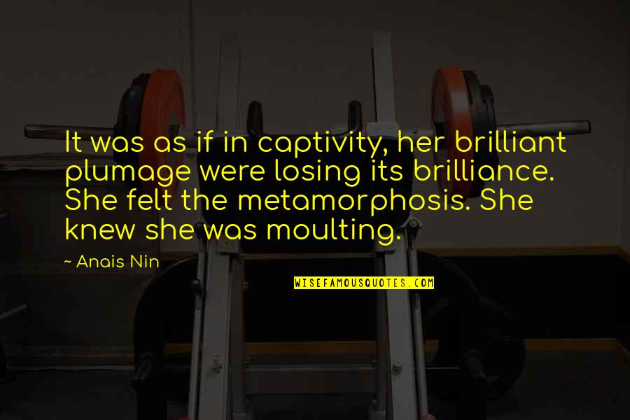 Brotamonte Quotes By Anais Nin: It was as if in captivity, her brilliant
