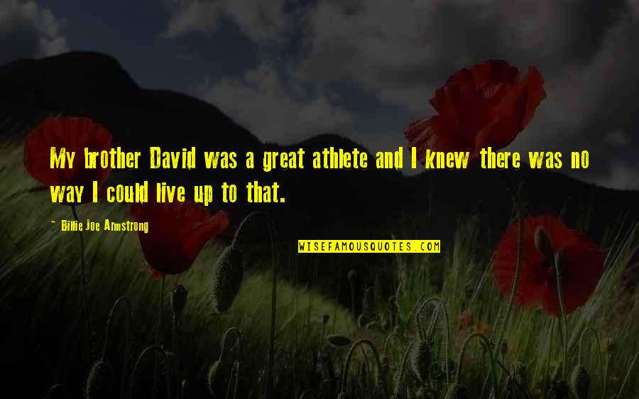 Brother And Brother Quotes By Billie Joe Armstrong: My brother David was a great athlete and