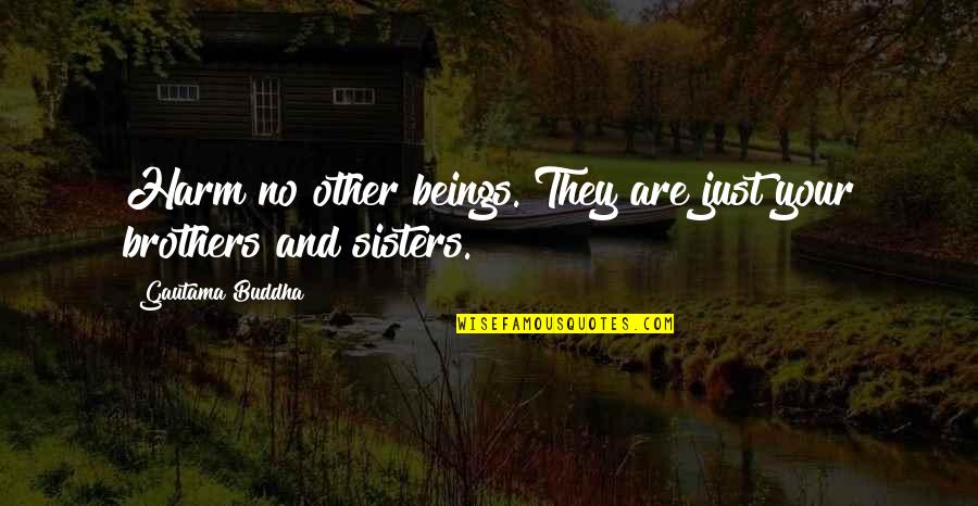 Brother And Brother Quotes By Gautama Buddha: Harm no other beings. They are just your