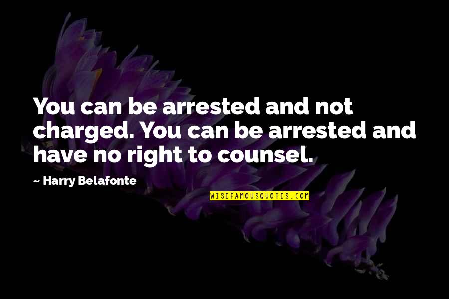 Brother And Sister Growing Up Quotes By Harry Belafonte: You can be arrested and not charged. You