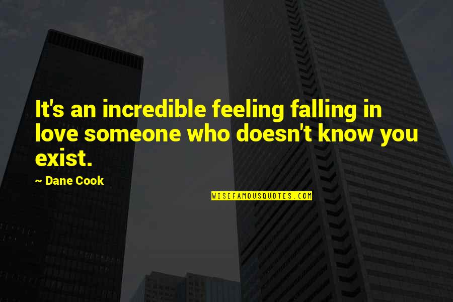 Brother And Sisters Love Quotes By Dane Cook: It's an incredible feeling falling in love someone