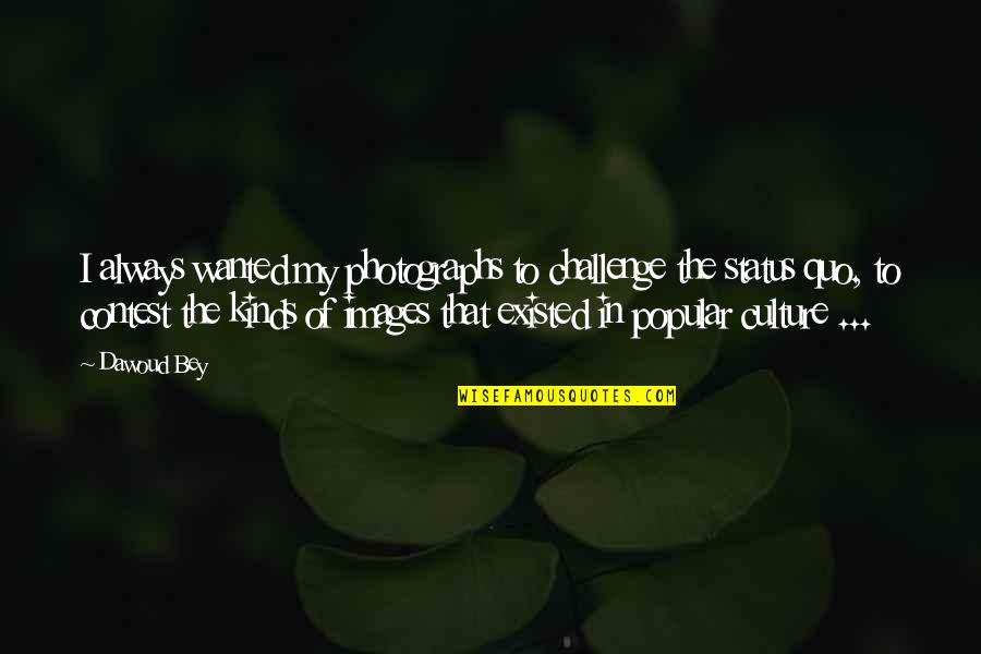 Brother English Quotes By Dawoud Bey: I always wanted my photographs to challenge the Brother English Quotes By Dawoud Bey: I always wanted my photographs to challenge the