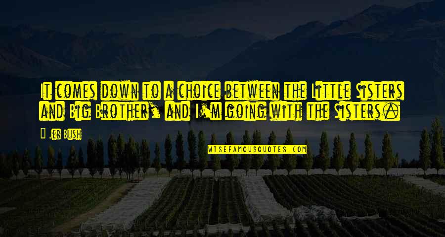 Brother From Sister Quotes By Jeb Bush: It comes down to a choice between the