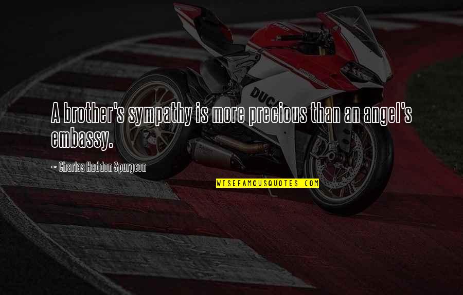 Brother Sympathy Quotes By Charles Haddon Spurgeon: A brother's sympathy is more precious than an Brother Sympathy Quotes By Charles Haddon Spurgeon: A brother's sympathy is more precious than an