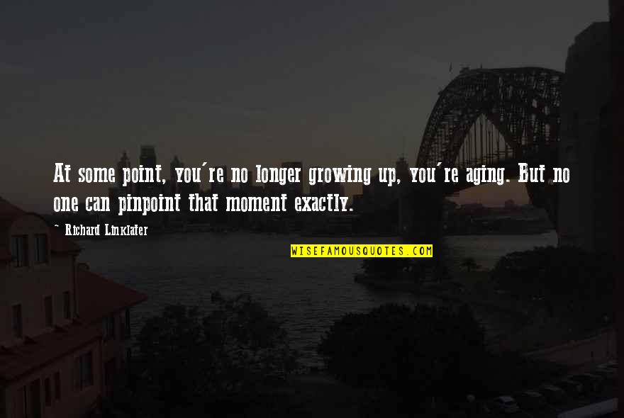 Brother War Quotes By Richard Linklater: At some point, you're no longer growing up, Brother War Quotes By Richard Linklater: At some point, you're no longer growing up,