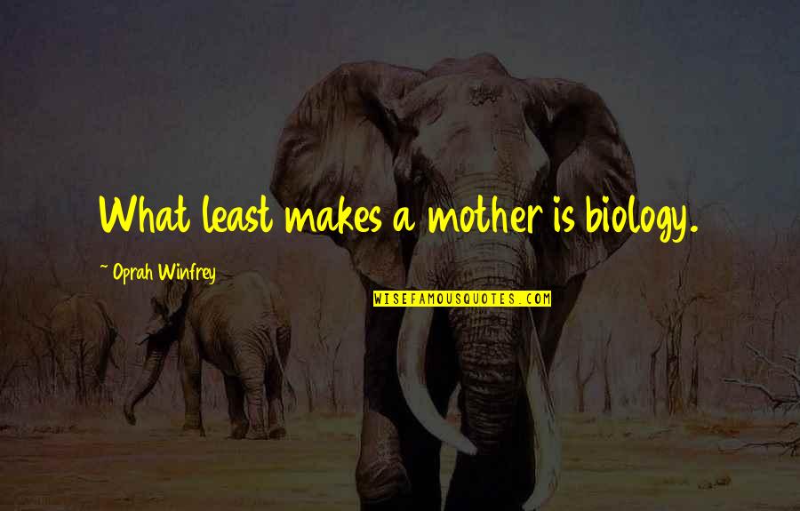 Brotherhood And Home Quotes By Oprah Winfrey: What least makes a mother is biology.