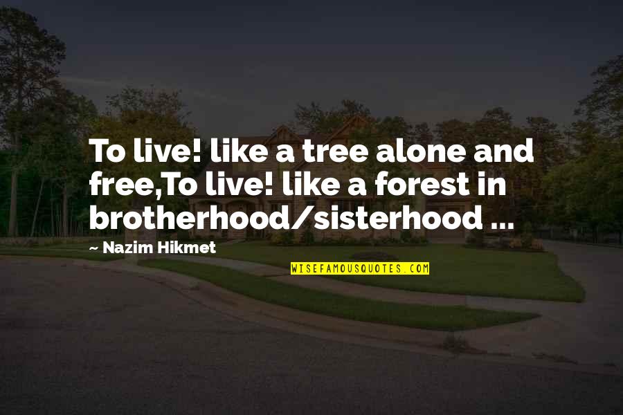 Brotherhood And Sisterhood Quotes By Nazim Hikmet: To live! like a tree alone and free,To