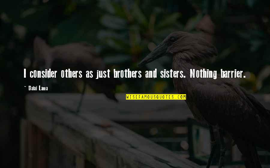 Brothers And Sisters Quotes By Dalai Lama: I consider others as just brothers and sisters.