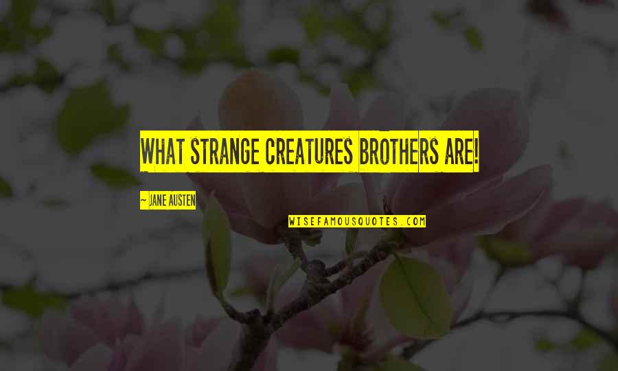 Brothers Are Quotes By Jane Austen: What strange creatures brothers are!