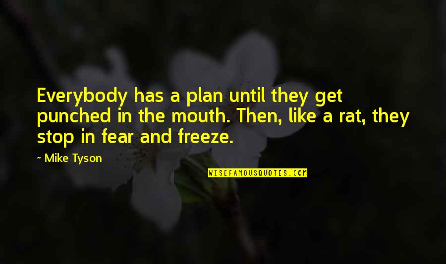 Brothers In The Bible Quotes By Mike Tyson: Everybody has a plan until they get punched