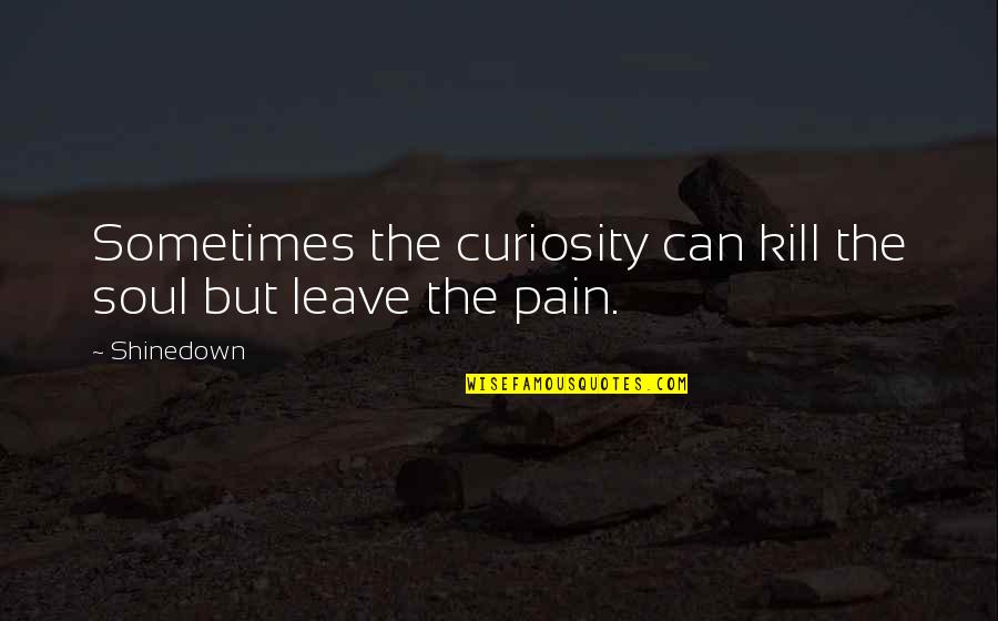 Broucke Haarden Quotes By Shinedown: Sometimes the curiosity can kill the soul but