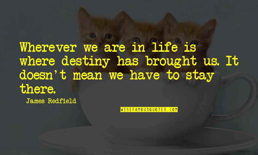 Brought To Life Quotes By James Redfield: Wherever we are in life is where destiny