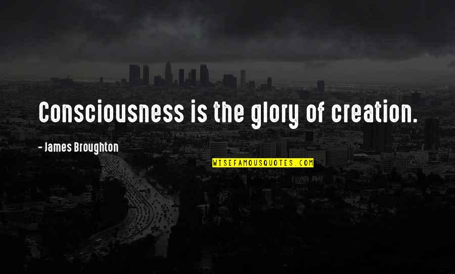 Broughton Quotes By James Broughton: Consciousness is the glory of creation.