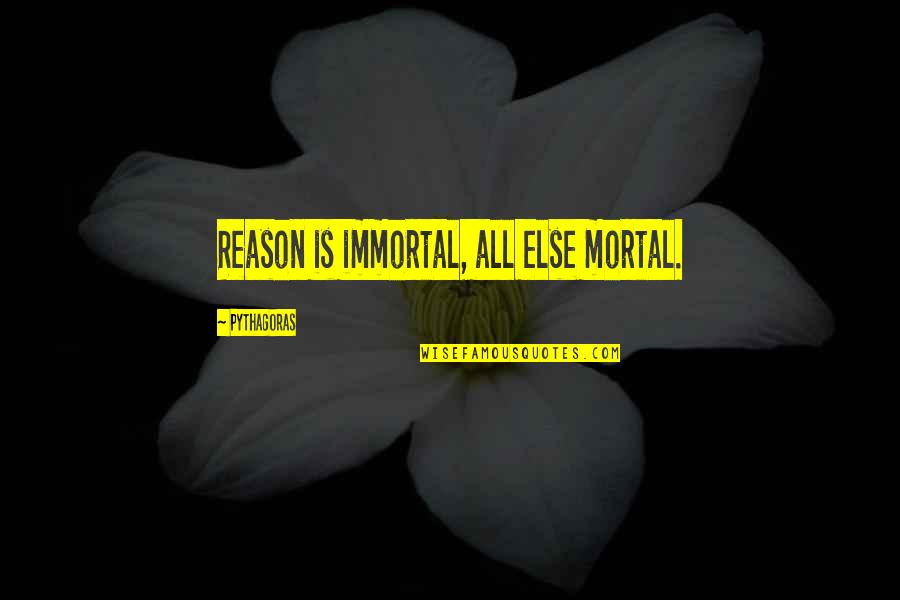 Brouhaha Quotes By Pythagoras: Reason is immortal, all else mortal.