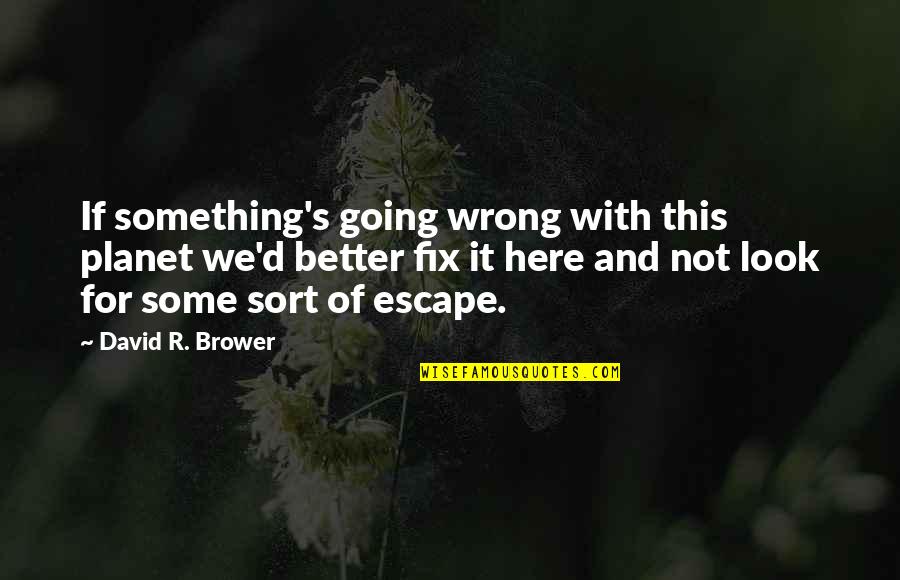 Brower Quotes By David R. Brower: If something's going wrong with this planet we'd