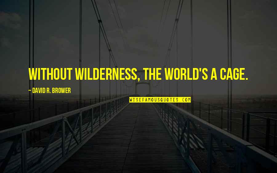 Brower Quotes By David R. Brower: Without wilderness, the world's a cage.