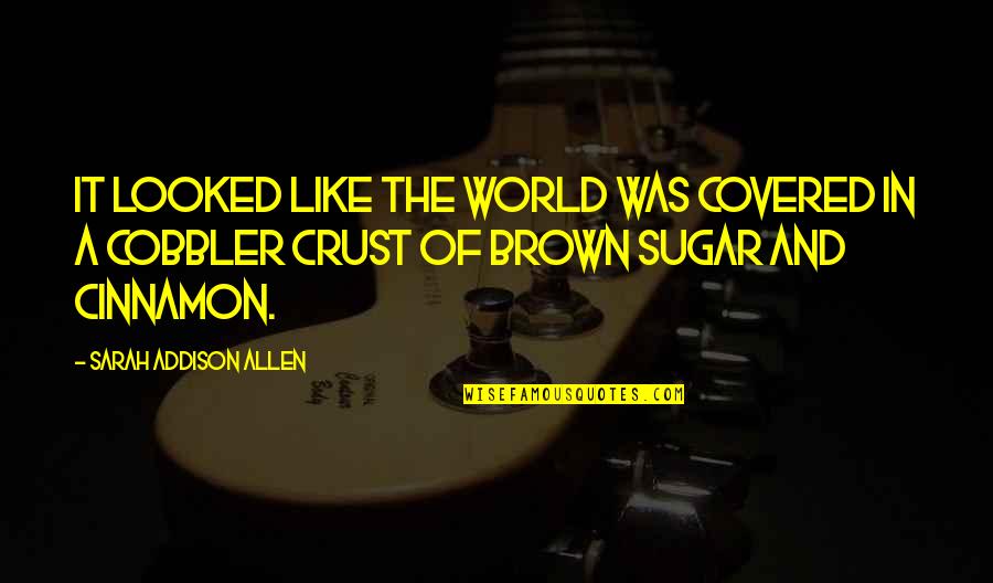 Brown And Brown Quotes By Sarah Addison Allen: It looked like the world was covered in
