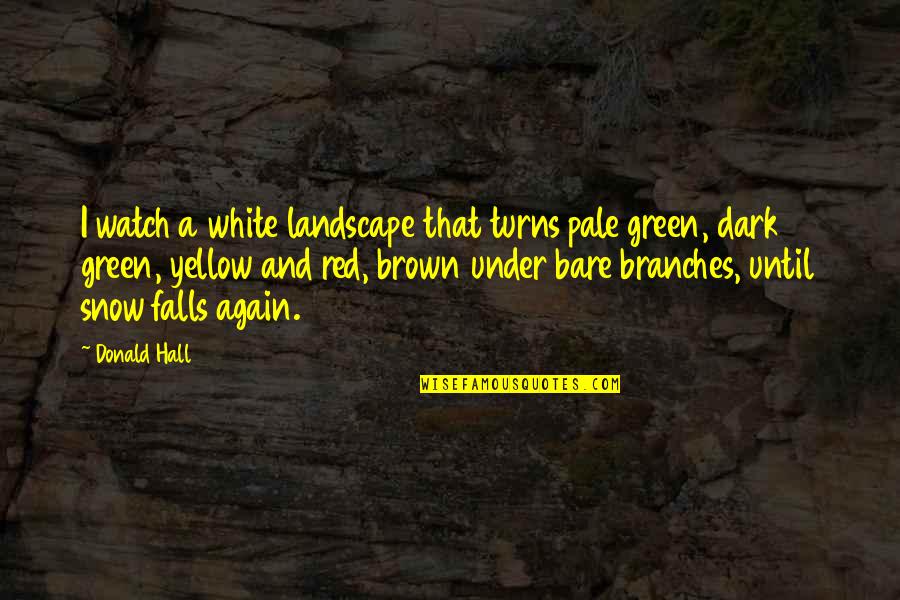 Brown And Green Quotes By Donald Hall: I watch a white landscape that turns pale