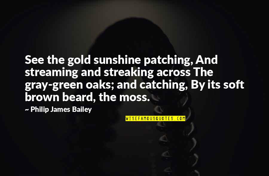 Brown And Green Quotes By Philip James Bailey: See the gold sunshine patching, And streaming and