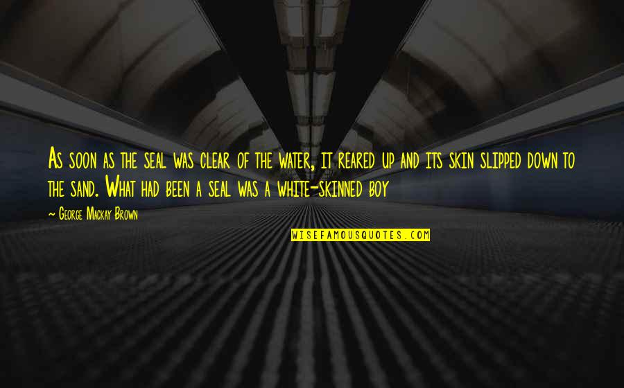 Brown And White Quotes By George Mackay Brown: As soon as the seal was clear of Brown And White Quotes By George Mackay Brown: As soon as the seal was clear of