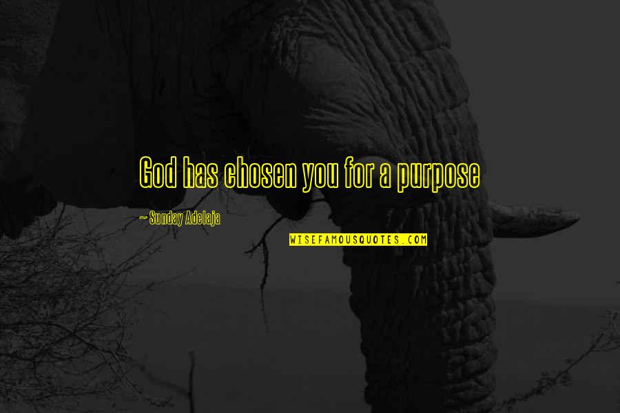 Brown Rang Quotes By Sunday Adelaja: God has chosen you for a purpose