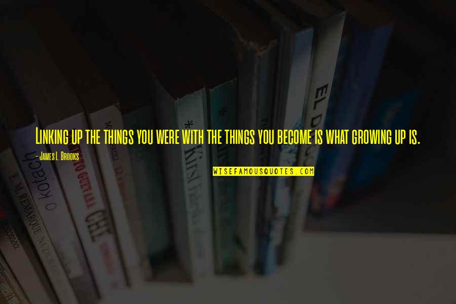 Brownhill Stable Quotes By James L. Brooks: Linking up the things you were with the