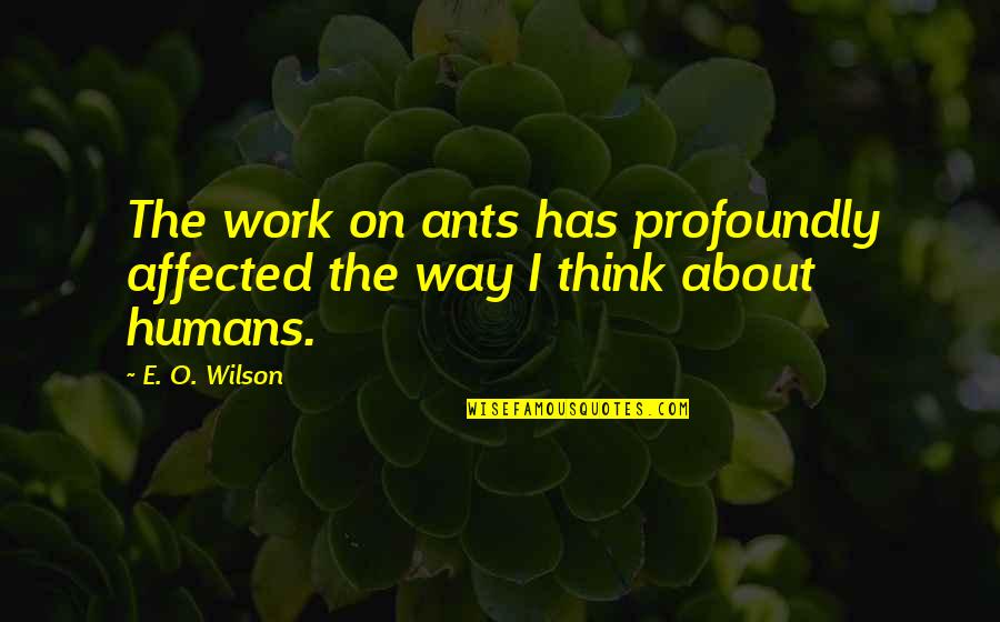 Browning Gun Quotes By E. O. Wilson: The work on ants has profoundly affected the