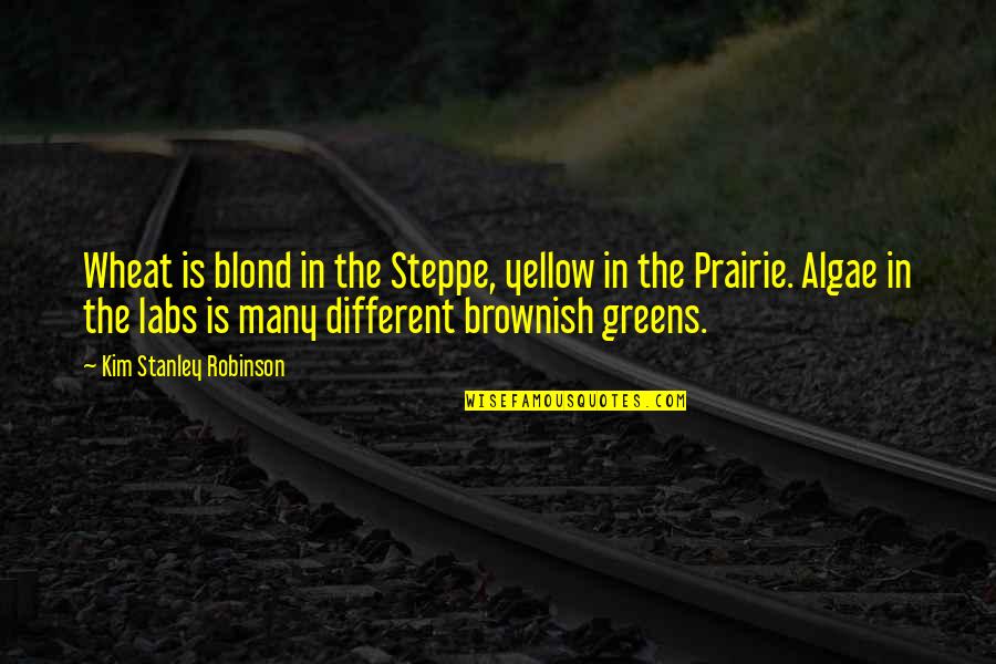 Brownish Quotes By Kim Stanley Robinson: Wheat is blond in the Steppe, yellow in