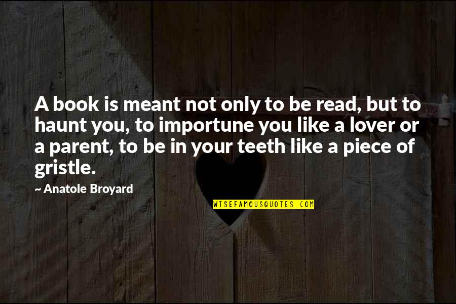 Broyard Anatole Quotes By Anatole Broyard: A book is meant not only to be