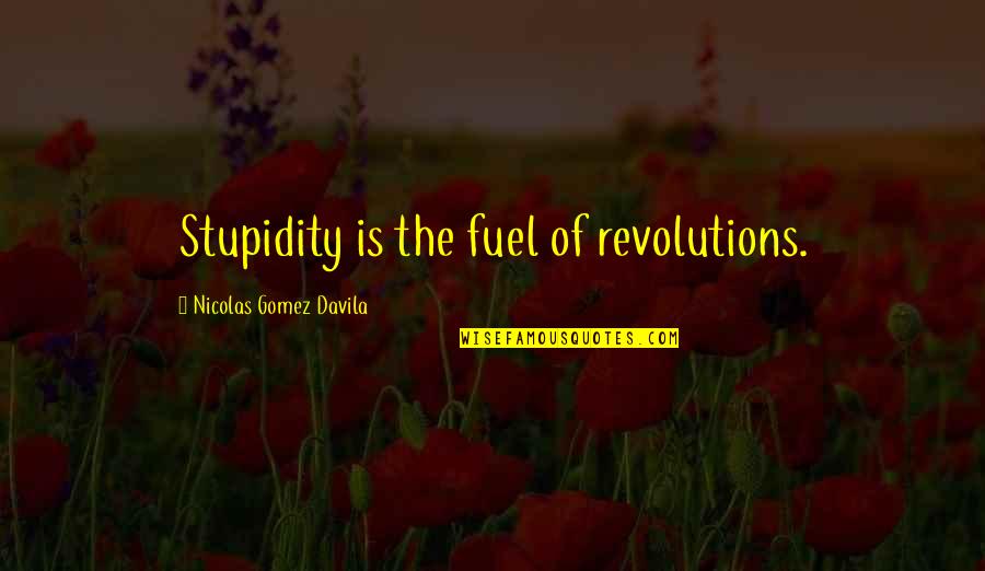 Brstand Quotes By Nicolas Gomez Davila: Stupidity is the fuel of revolutions.